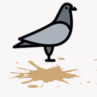 Neuss: Ärger über Taubenkot an Salzstraße