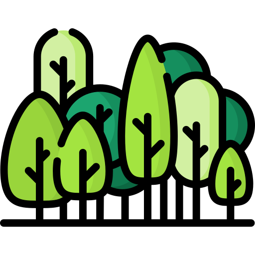 Verbesserung der Artenvielfalt: Stadtwald-Spaziergang