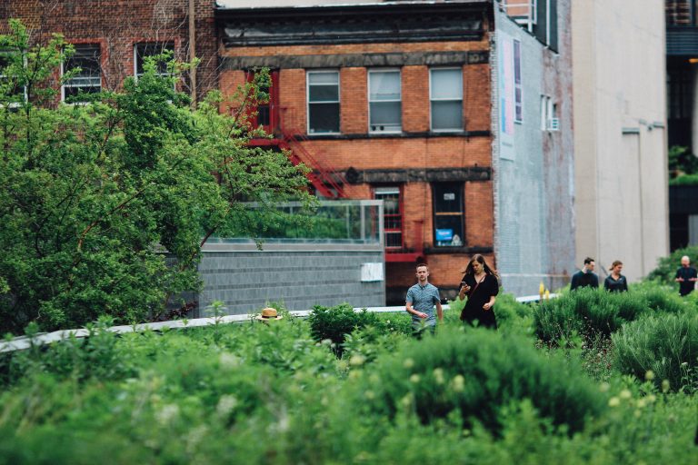 Projekt für Urban Gardening fördern