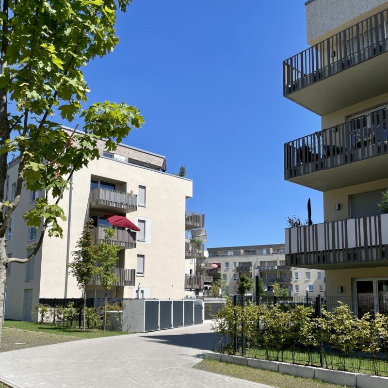 GRÜNE und SPD fordern „Förderprogramm für bezahlbaren Wohnraum“